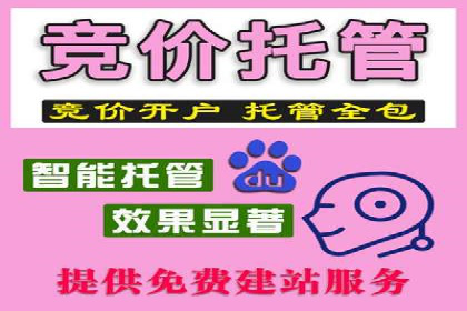 竞价广告优化案例：教育行业的成功秘诀